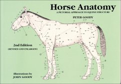 Horse Anatomy - Goody, Peter