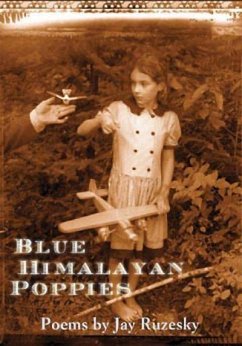 Blue Himalayan Poppies - Ruzesky, Jay