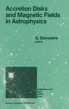 Accretion Disks and Magnetic Fields in Astrophysics - Belvedere, G. (Hrsg.)