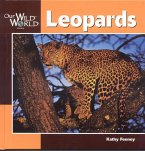 Leopards