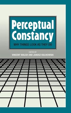 Perceptual Constancy