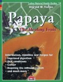 Papaya Healing Fruit