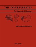 The Invertebrates