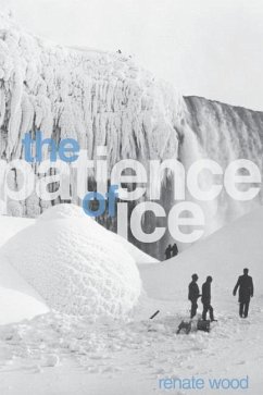 The Patience of Ice - Wood, Renate
