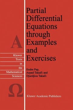 Partial Differential Equations through Examples and Exercises - Pap, E.;Takaci, Arpad;Takaci, Djurdjica