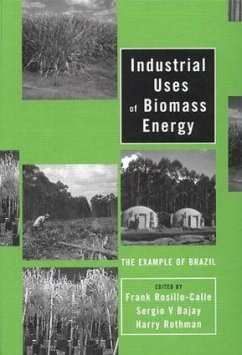 Industrial Uses of Biomass Energy - Bajay, Sergio V. / Rosillo-Calle, Frank / Rothman, Harry (eds.)