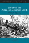 Slavery in the American Mountain South