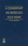 A Commentary on Nietzsche's Ecce Homo - Steinbuch, Thomas