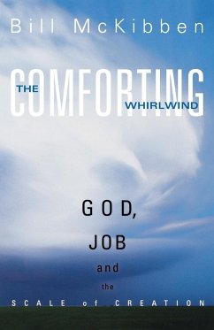 The Comforting Whirlwind - McKibben, Bill