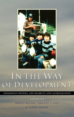 Cover In the Way of Development