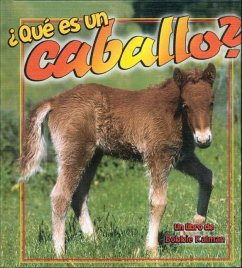 ¿Qué Es Un Caballo? (What Is a Horse?) - Kalman, Bobbie