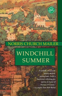Cover Windchill Summer