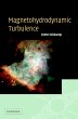 Magnetohydrodynamic Turbulence - Bild 1