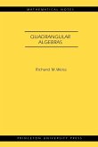 Quadrangular Algebras. (MN-46)