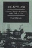 The Butte Irish: Class and Ethnicity in an American Mining Town, 1875-1925