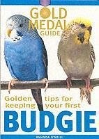 Cover Budgie