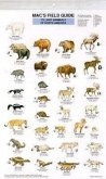 Mac's Field Guides: North American Land Mammals