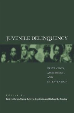 Juvenile Delinquency - Heilbrun, Kirk / Goldstein, Naomi E. Sevin / Redding, Richard E. (eds.)