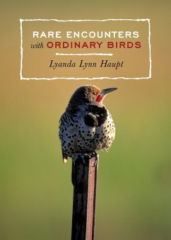 Rare Encounters with Ordinary Birds - Haupt, Lyanda Lynn Rare Encounters with Ordinary Birds - Haupt, Lyanda Lynn