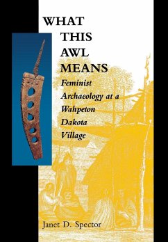 What This Awl Means - Spector, Janet D.