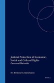 Judicial Protection of Economic, Social and Cultural Rights: Cases and Materials