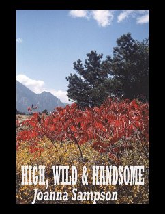 High, Wild & Handsome - Sampson, Joanna