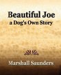 Beautiful Joe a Dog's Own Story (1893) - Bild 1