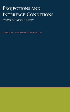 Projections and Interface Conditions - Di, Sciullo