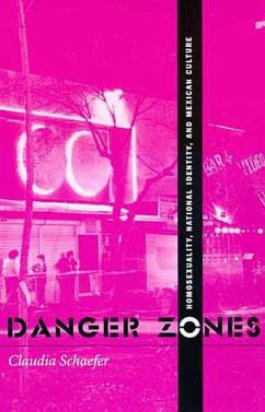 Danger Zones - Schaefer, Claudia