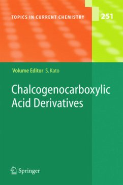 Chalcogenocarboxylic Acid Derivatives - Kato, Shinzi (Volume ed.)