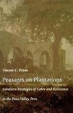 Peasants on Plantations: Subaltern Strategies of Labor and Resistance in the Pisco Valley, Peru