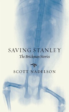 Saving Stanley - Nadelson, Scott