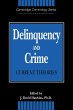 Delinquency and Crime - Bild 1