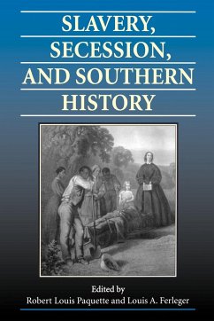 Slavery, Secession, and Southern History