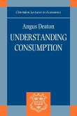 Understanding Consumption
