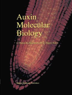 Auxin Molecular Biology - Perrot-Rechenmann