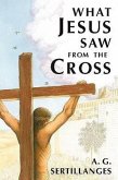 What Jesus Saw from the Cross (Revised)