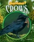 Crows