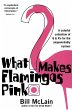 What Makes Flamingos Pink? - Bild 1
