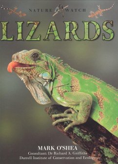 Lizards - Dennard, Deborah