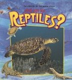 ¿Qué Son Los Reptiles? (What Is a Reptile?)