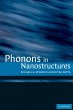 Phonons in Nanostructures - Bild 1