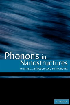 Phonons in Nanostructures - Stroscio, Michael A.; Dutta, Mitra