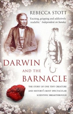 Darwin and the Barnacle - Stott, Rebecca