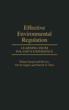 Effective Environmental Regulation - Brown, Halina Szejnwald; Angel, David; Derr, Patrick G.