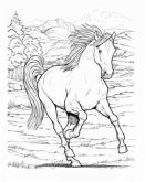 Wonderful World of Horses Coloring Book