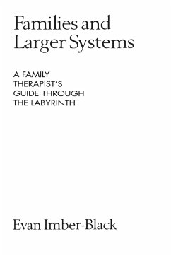 Families and Larger Systems - Imber-Black, Evan