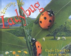 Ladybug - Llewellyn, Claire