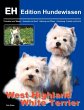 West Highland White Terrier - Bild 1