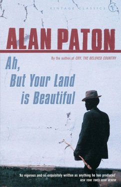 Cover Ah But Your Land Is Beautiful